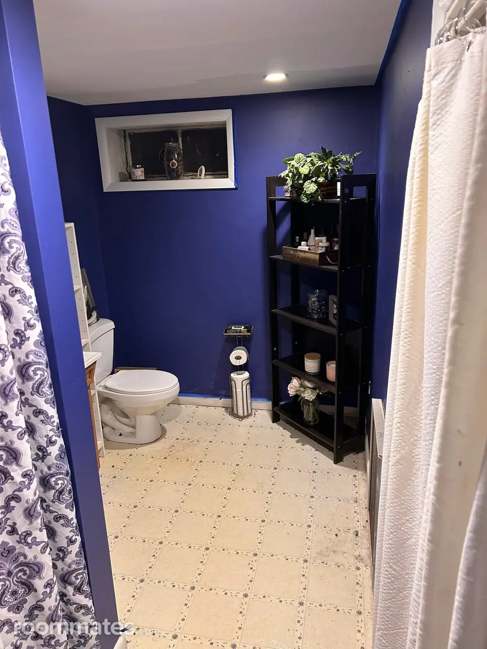 Profile photo 4 of 8