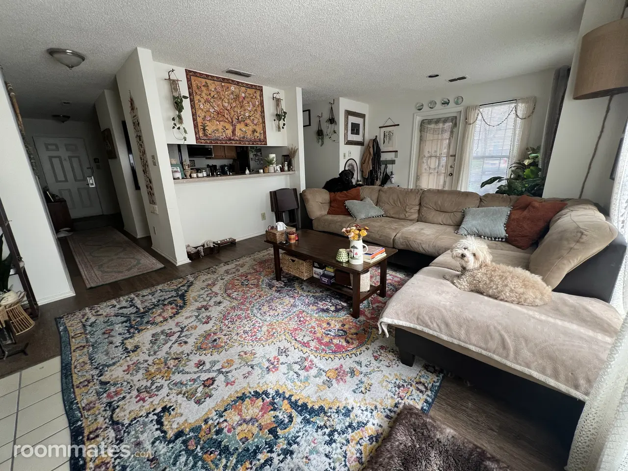 Profile photo 1 of 19