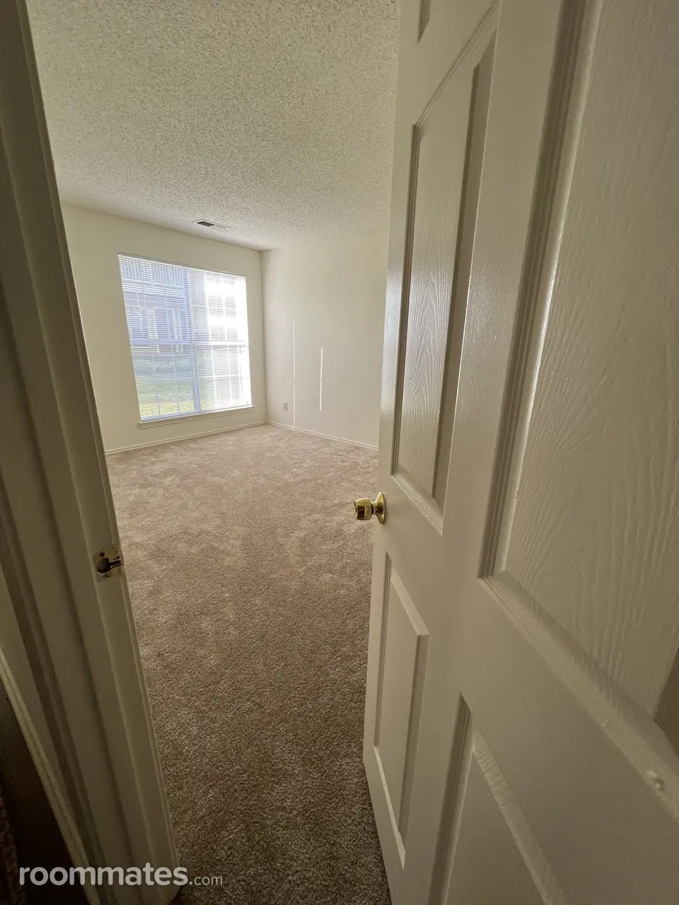 Profile photo 4 of 19