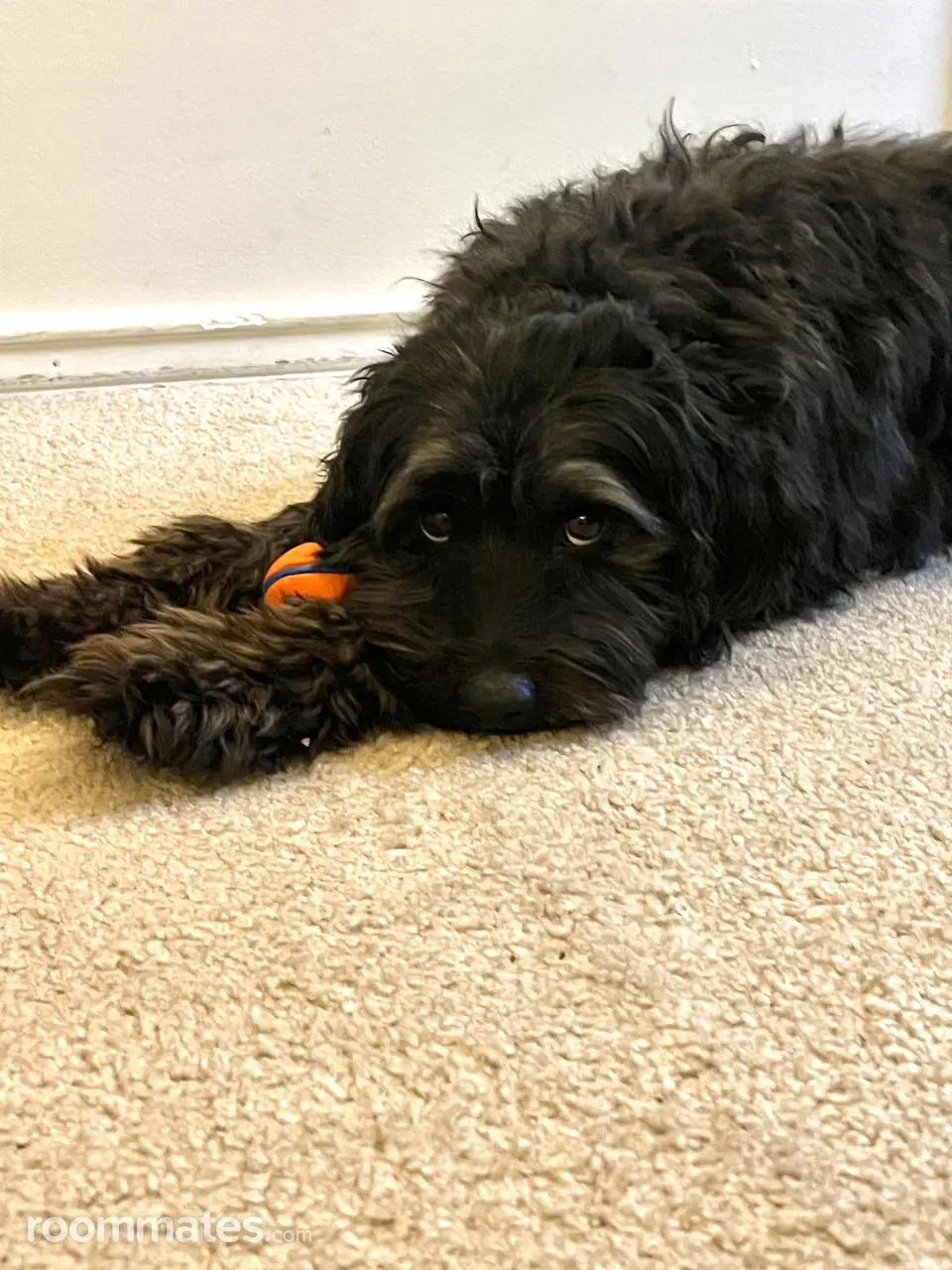 Profile photo 11 of 19