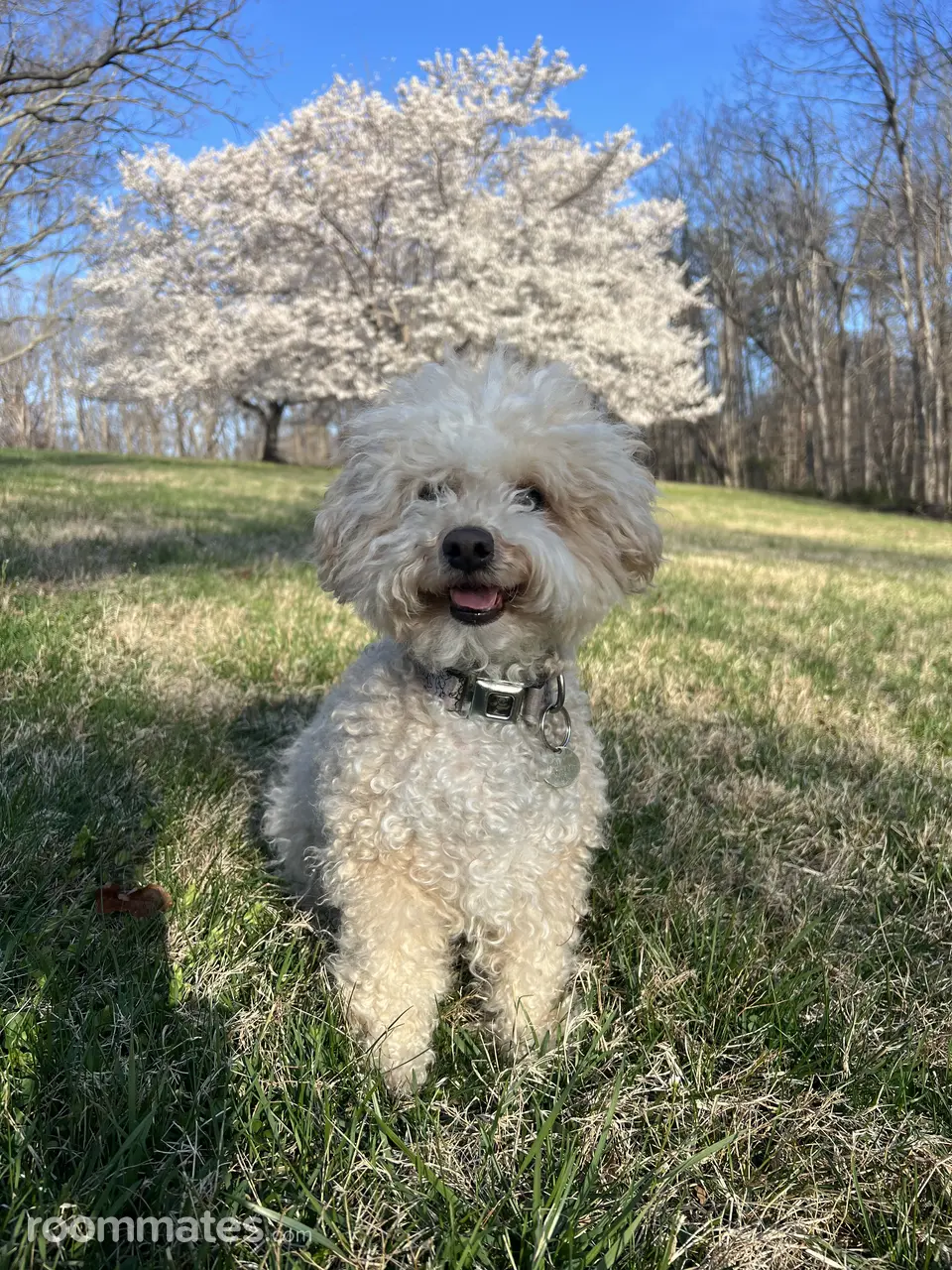 Profile photo 18 of 19