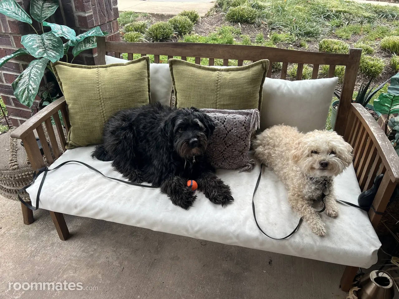 Profile photo 12 of 19