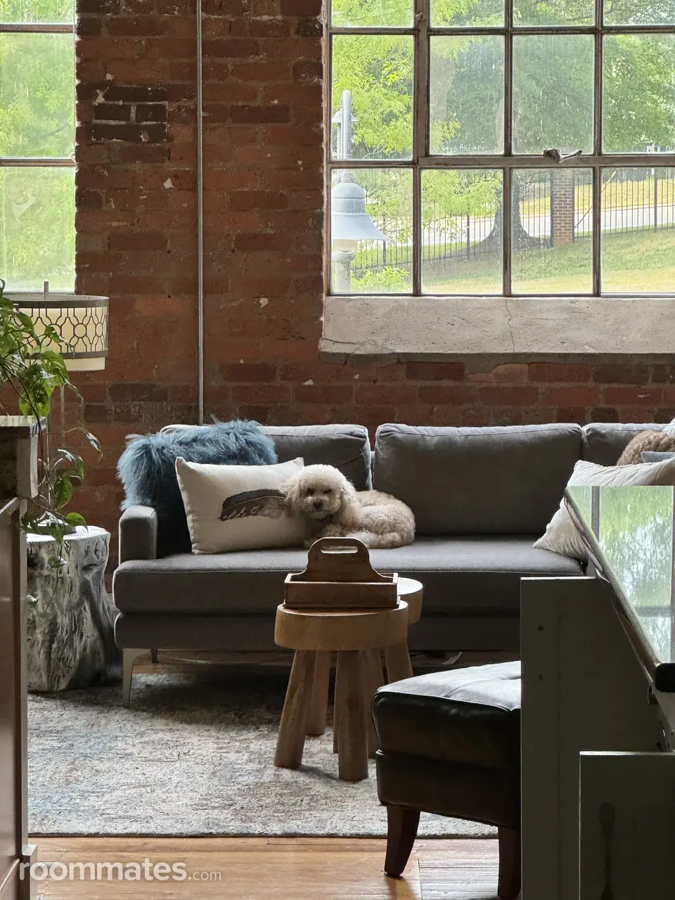 Profile photo 2 of 15