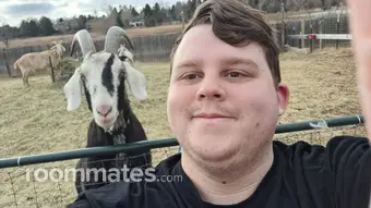 Roommate looking Bloomfield, NJ, $1000