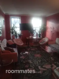 Room for rent in New York, NY $300, apartment