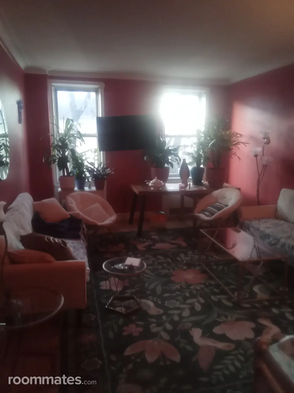 Profile photo 2 of 3