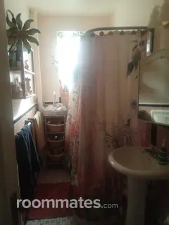 Room for rent in New York, NY $300, apartment