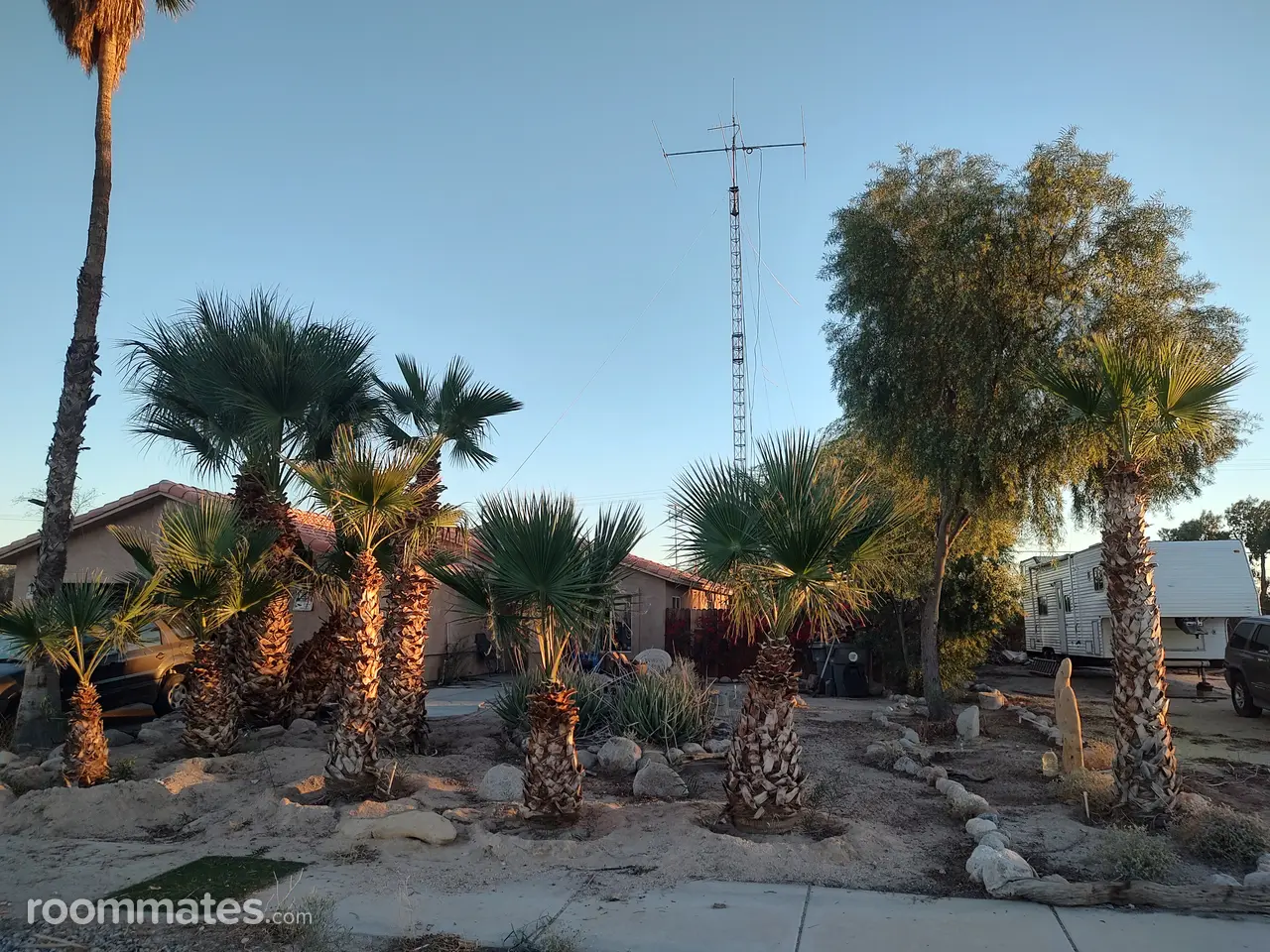 Profile photo 3 of 7