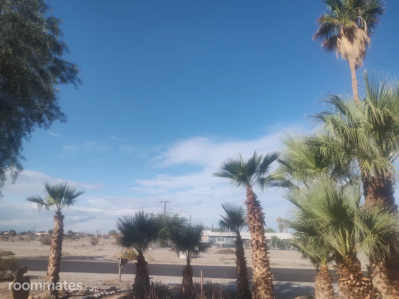 Profile photo 6 of 7