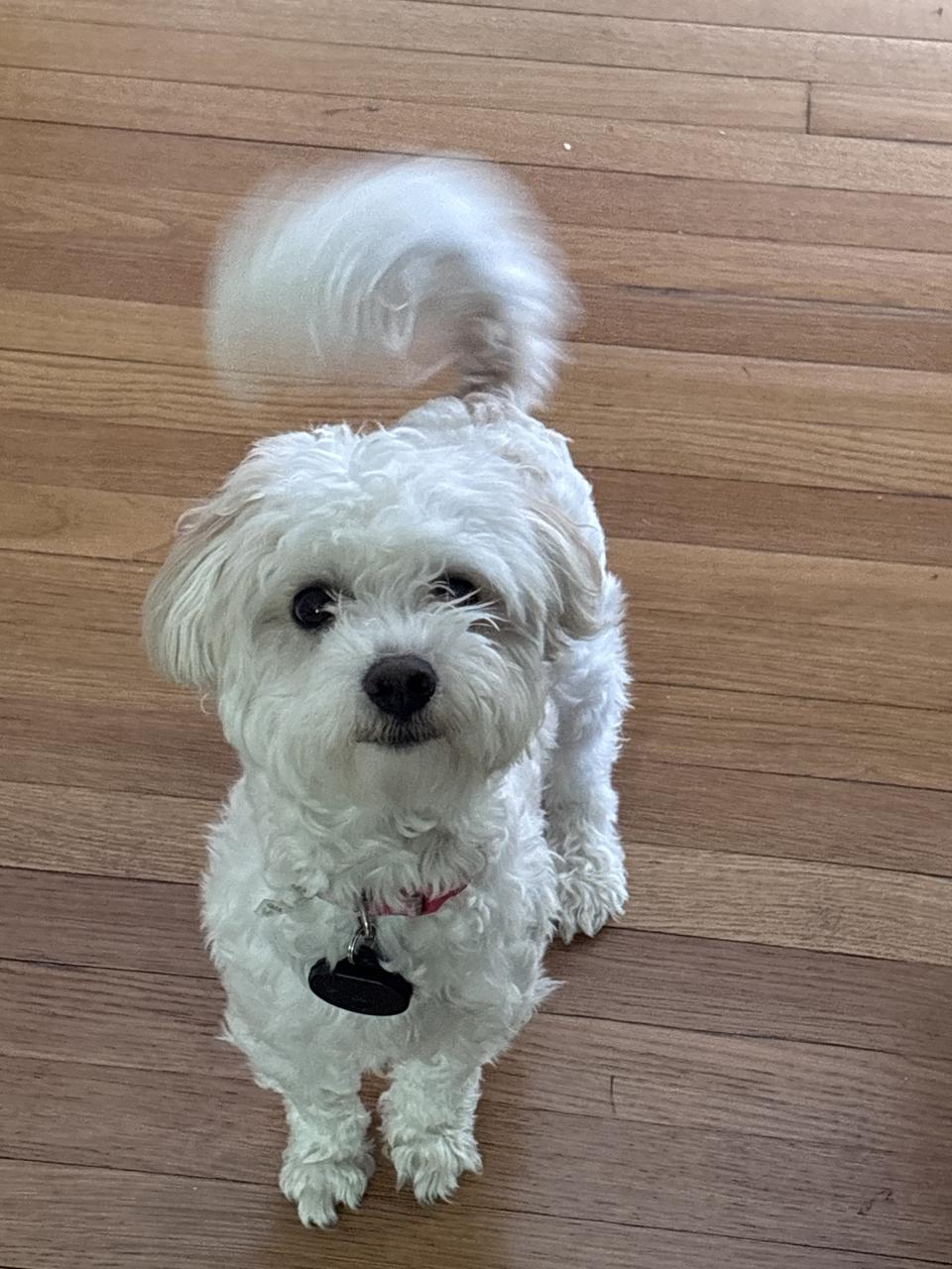 Profile photo 11 of 11