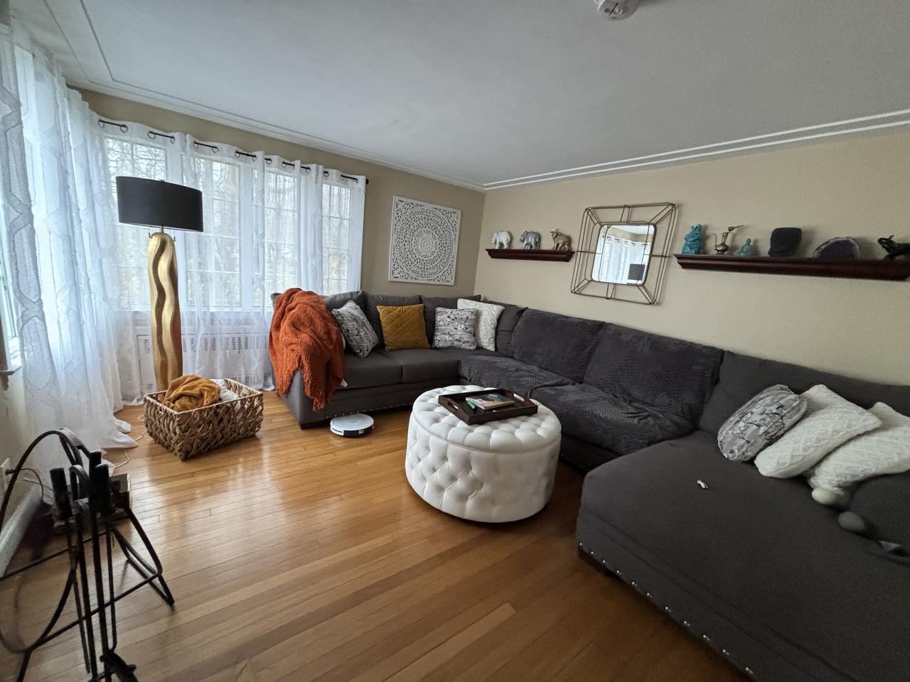 Profile photo 4 of 11