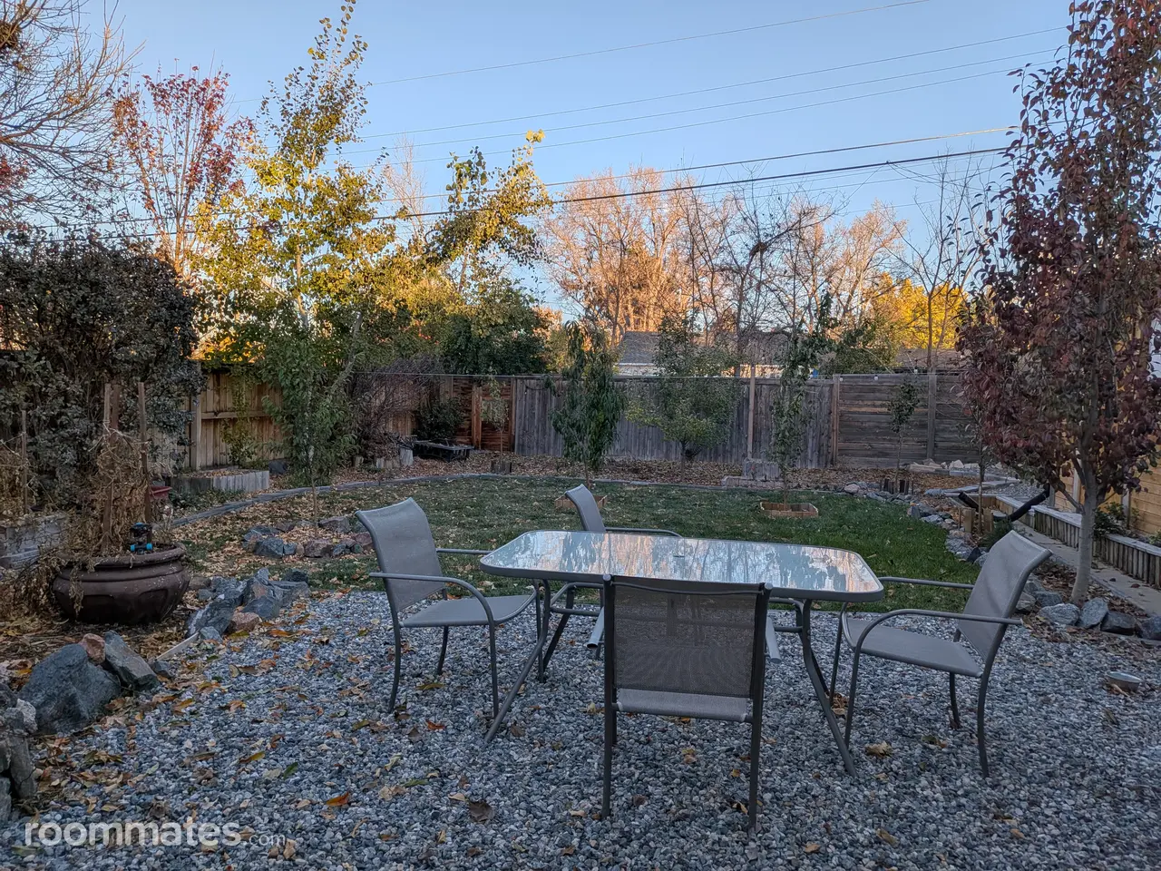 Profile photo 5 of 11