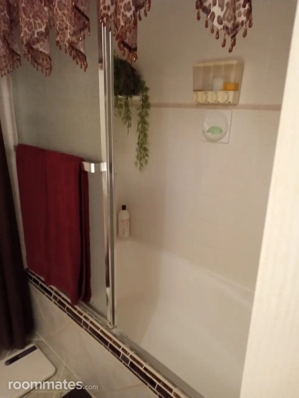 Profile photo 1 of 1