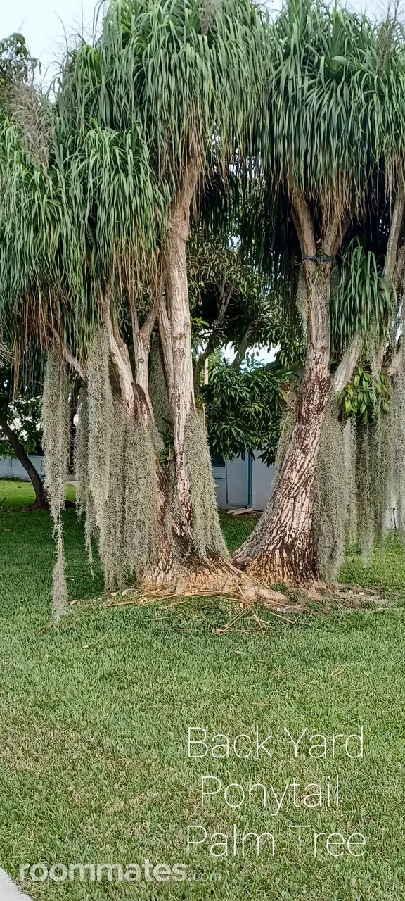 Profile photo 7 of 11