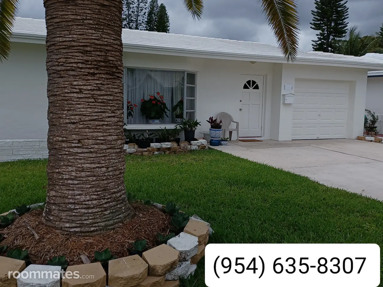 Profile photo 2 of 11