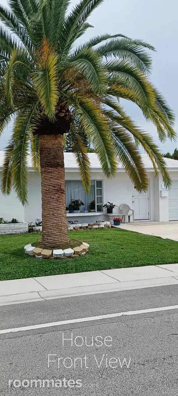 Profile photo 8 of 11