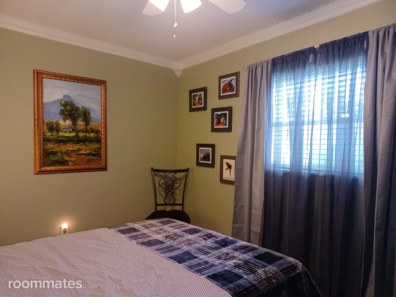 Profile photo 1 of 11