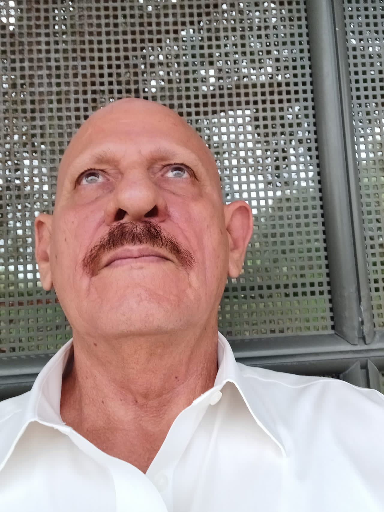 Profile photo 11 of 11