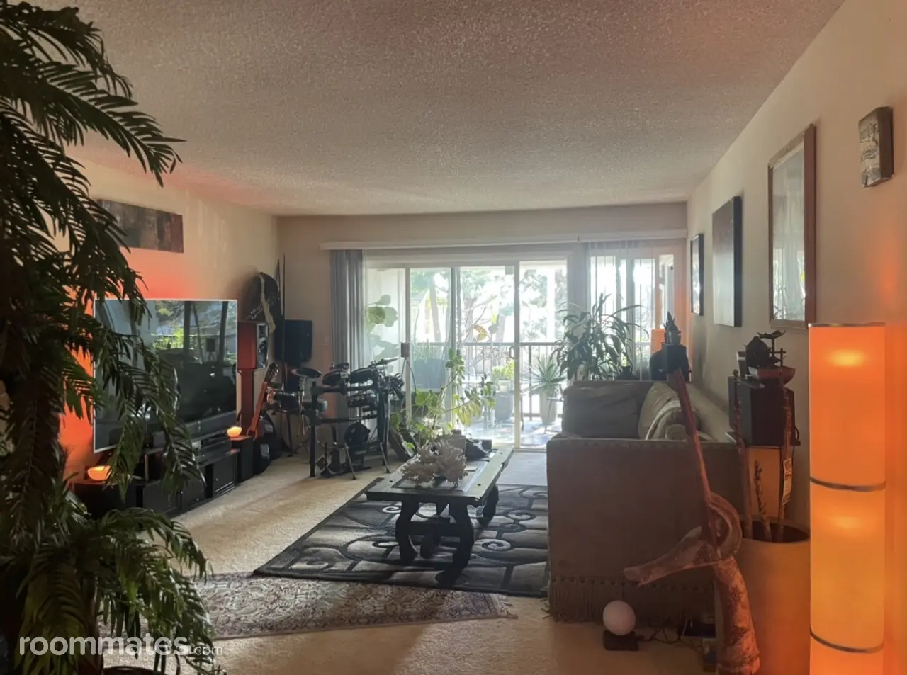 Profile photo 5 of 15