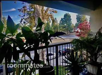 Room for rent in Fountain Valley, CA $1500, apartment