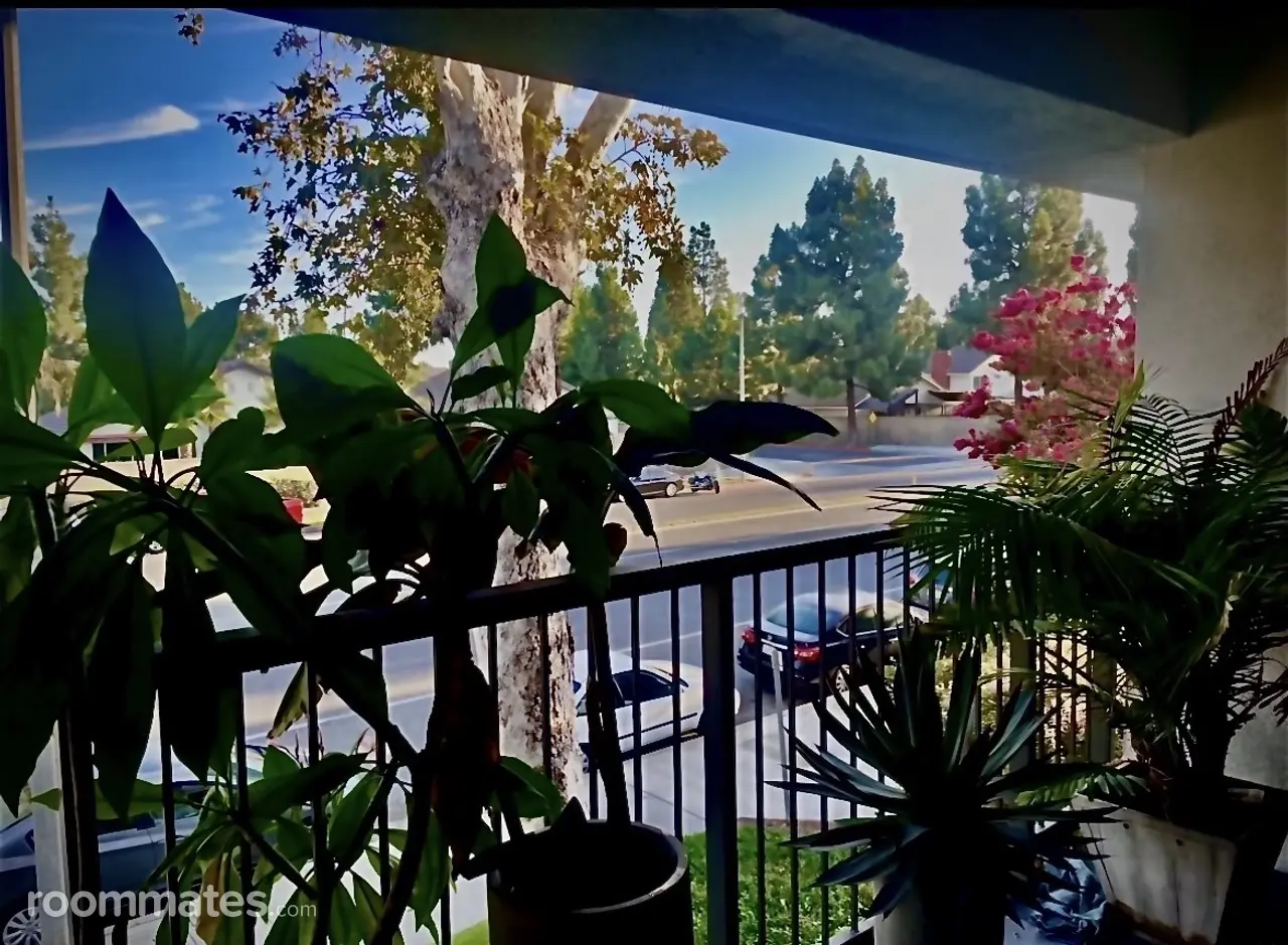 Profile photo 2 of 15