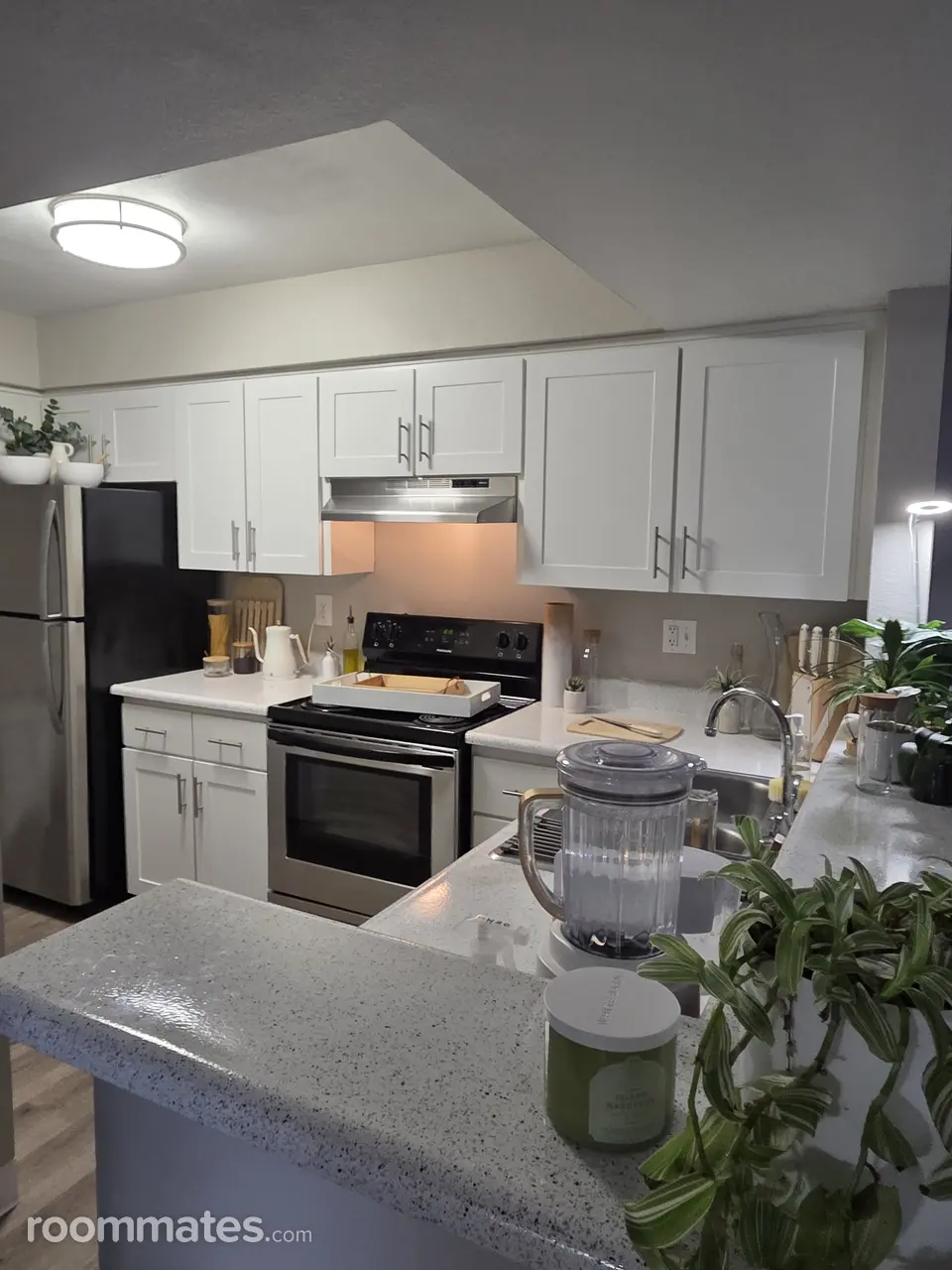 Profile photo 4 of 12