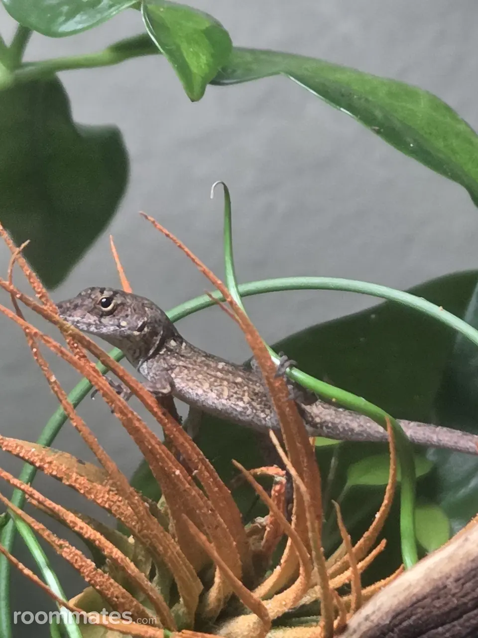 Profile photo 6 of 12