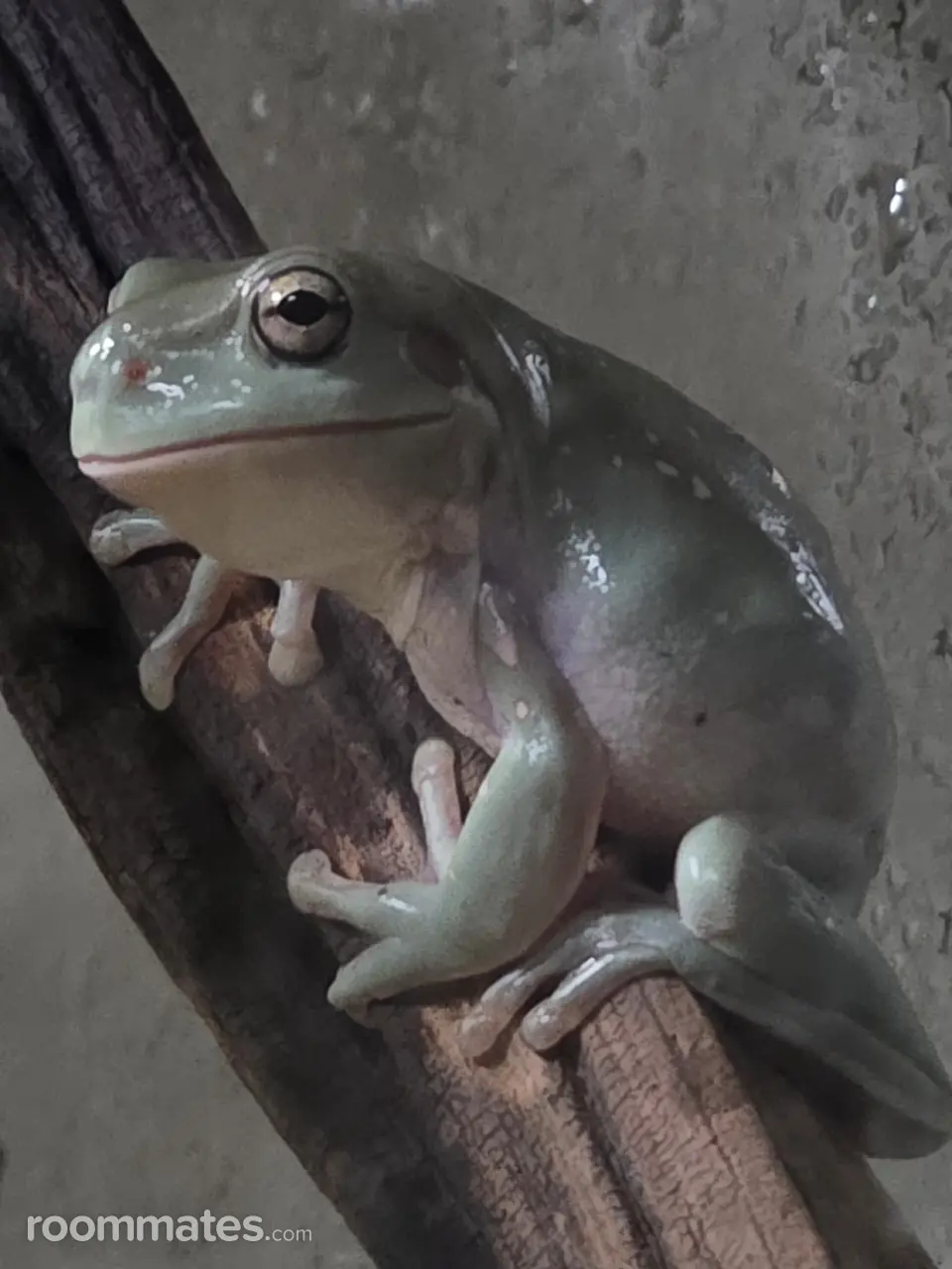 Profile photo 7 of 12