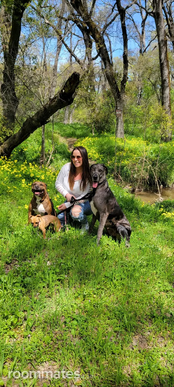 Profile photo 12 of 12