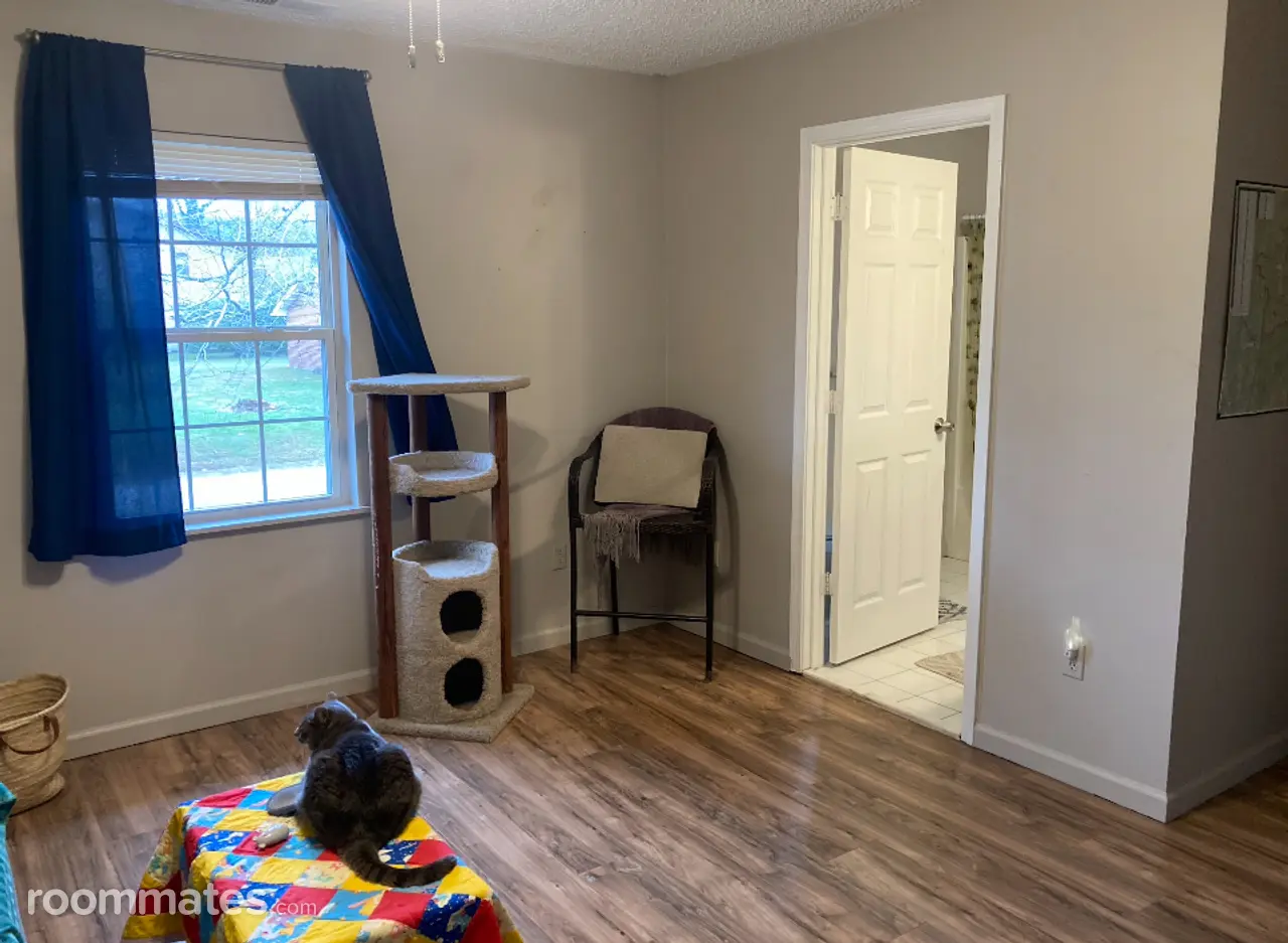 Profile photo 4 of 7