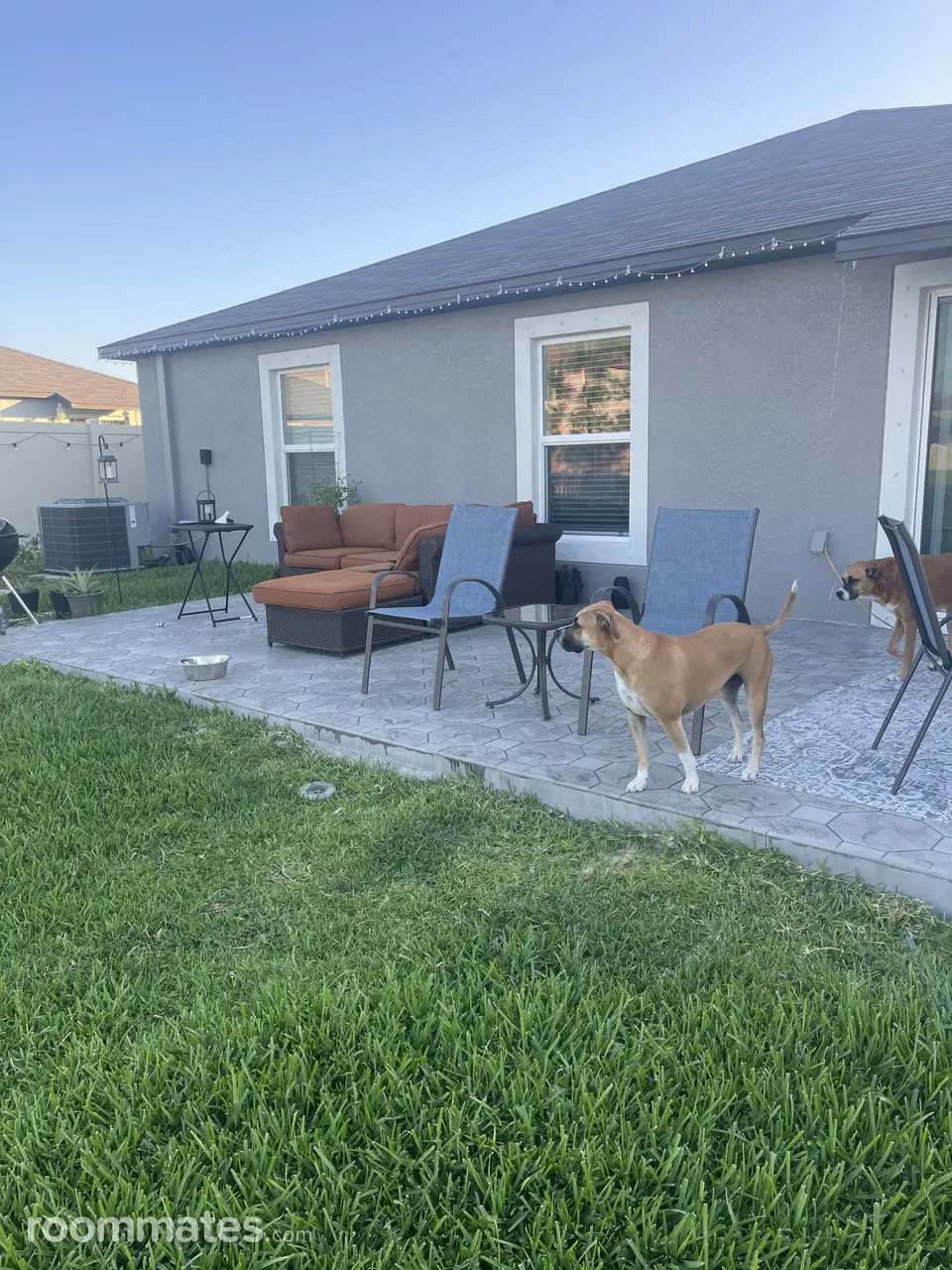 Profile photo 10 of 15