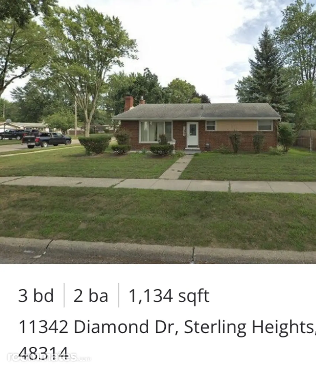 Profile photo 10 of 11
