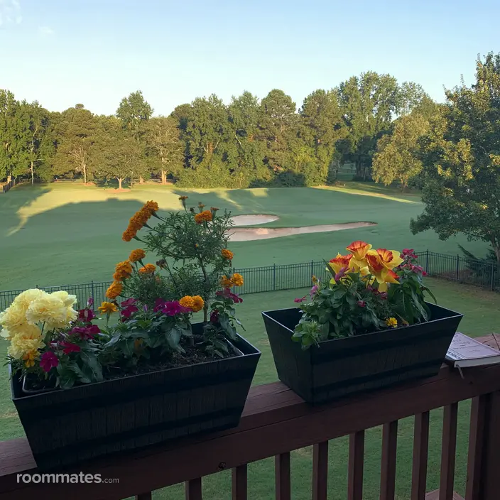 Room for rent in McDonough, GA $2000, apartment