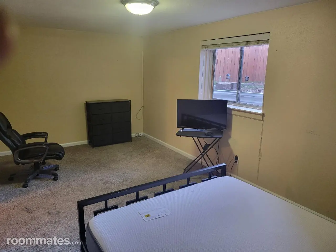 Profile photo 17 of 21