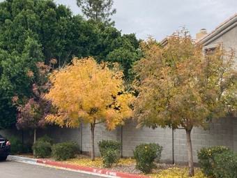 Roommate looking Los Angeles, CA, Huntington Beach, CA, San Diego, CA, Palm Springs, CA, $1000