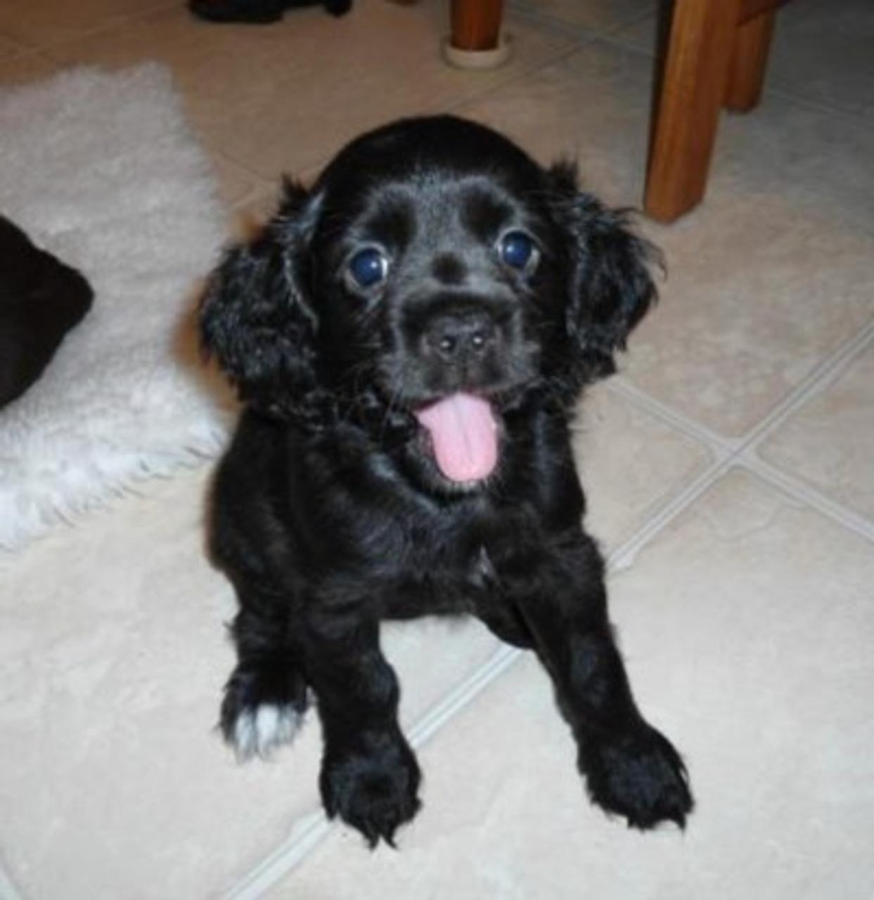 Profile photo 6 of 7