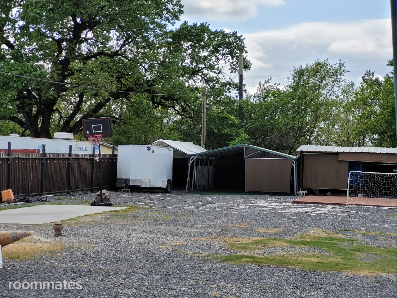 Profile photo 3 of 5