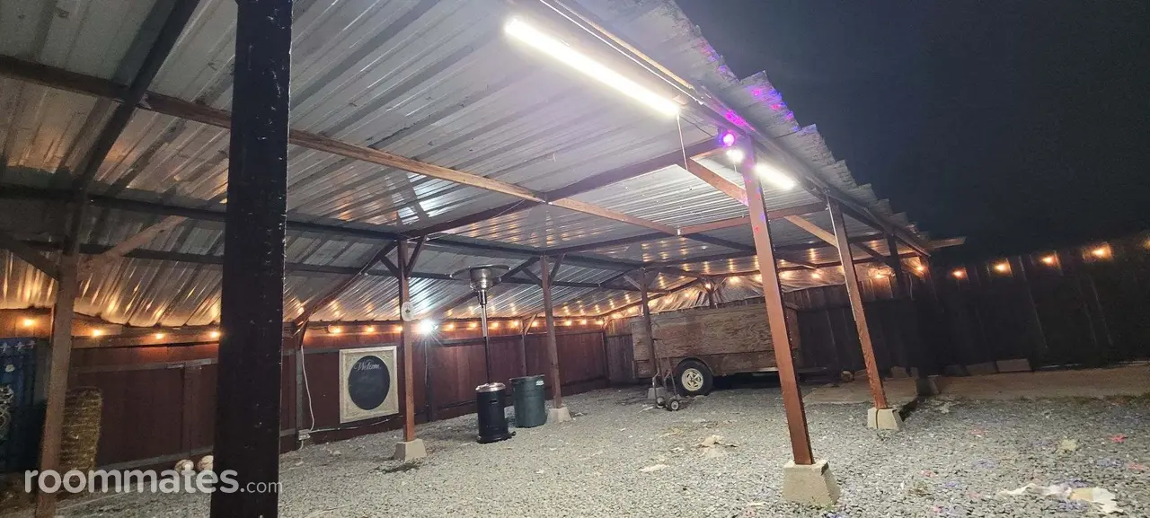 Profile photo 4 of 5