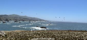 Room for rent in Santa Rosa, CA $1036, apartment