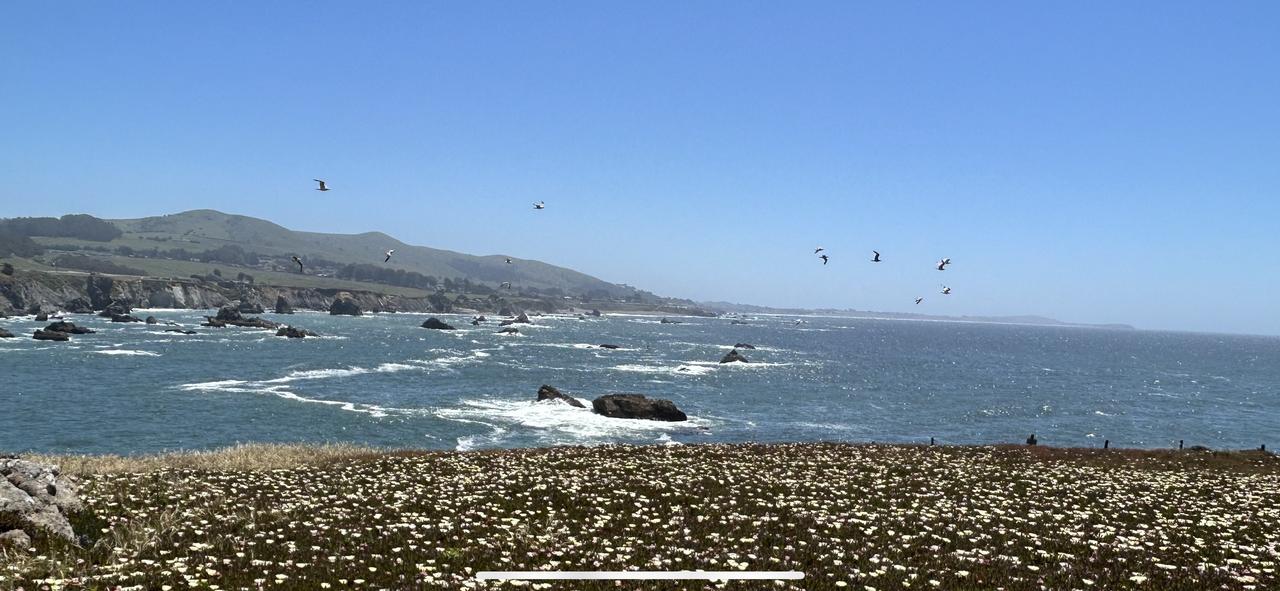 Profile photo 1 of 1