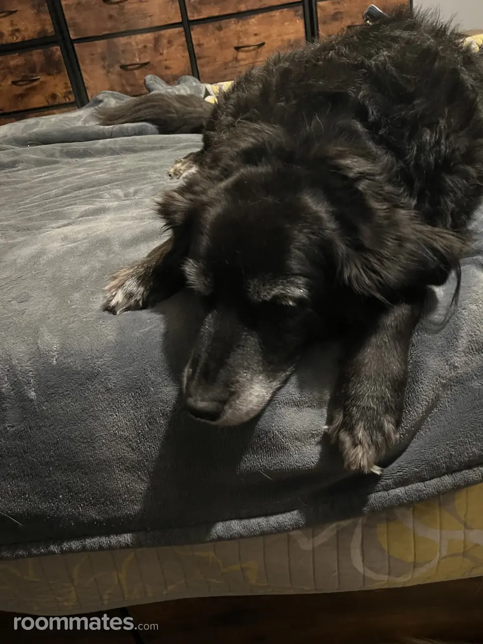 Profile photo 3 of 3