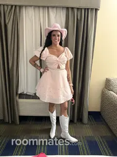 Roommate looking Albany, NY, $800