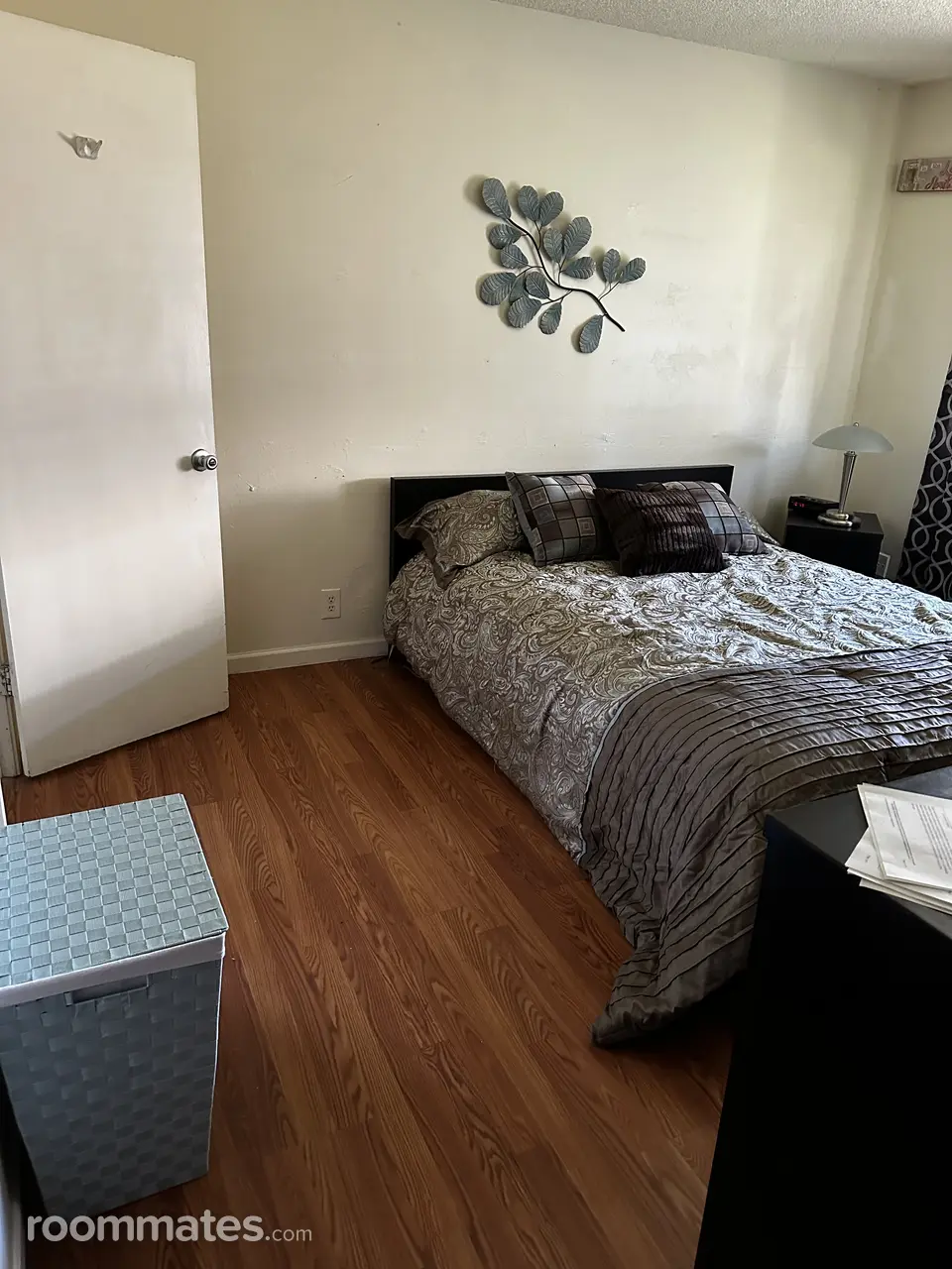 Profile photo 2 of 15