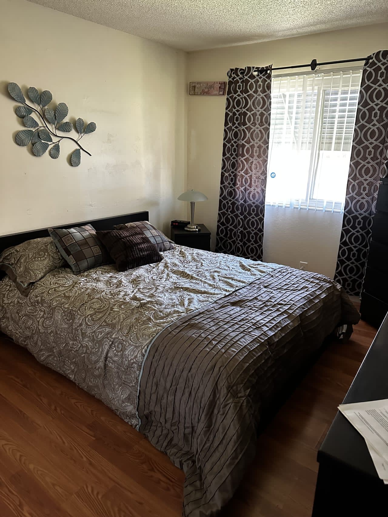 Profile photo 12 of 15