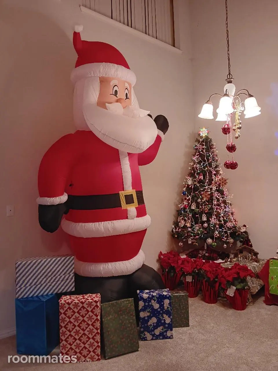 Profile photo 3 of 6