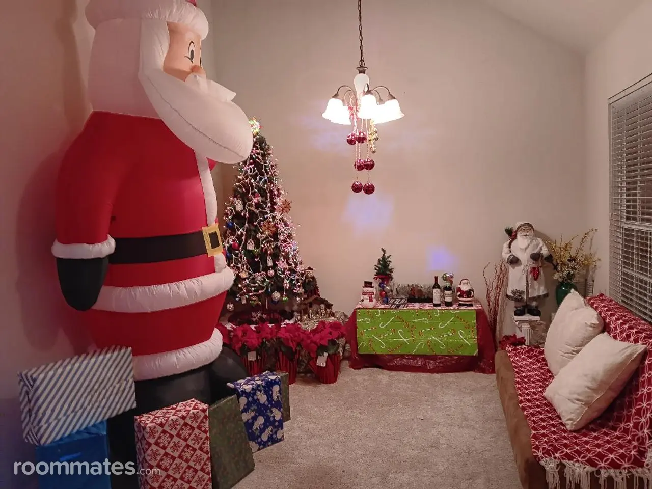 Profile photo 4 of 6