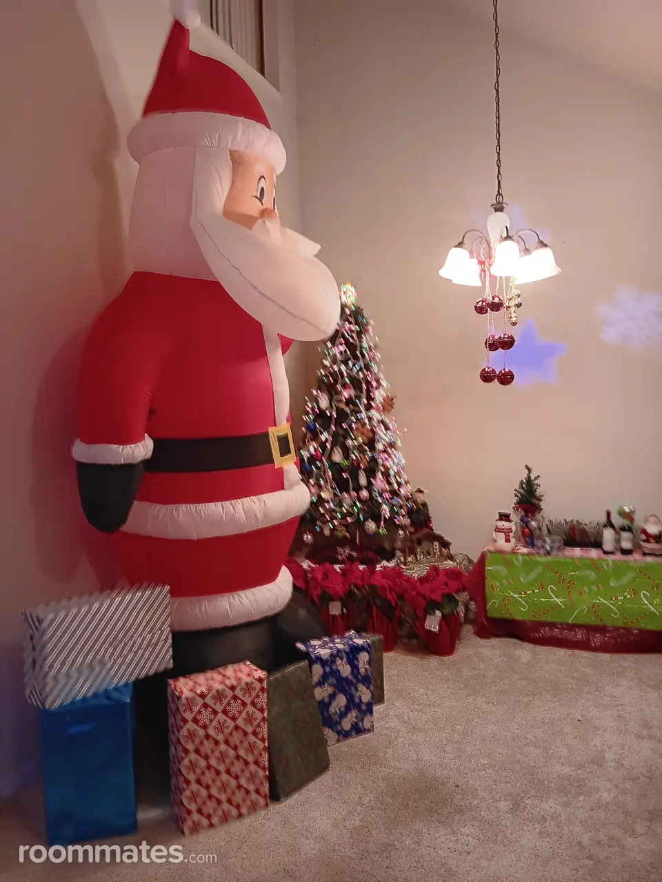 Profile photo 6 of 6