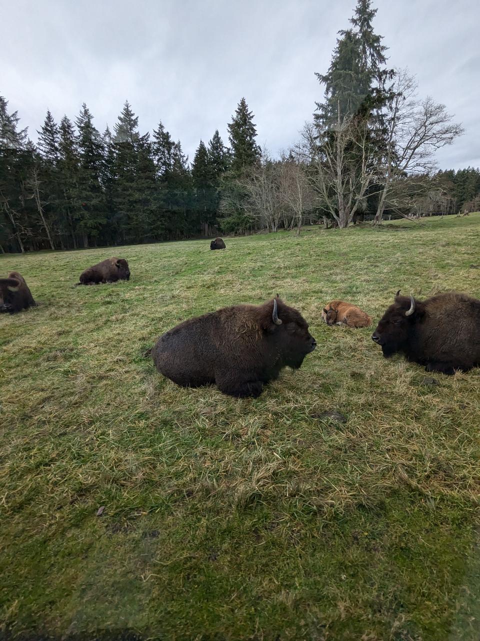 Profile photo 5 of 5