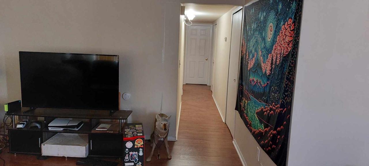 Profile photo 6 of 11