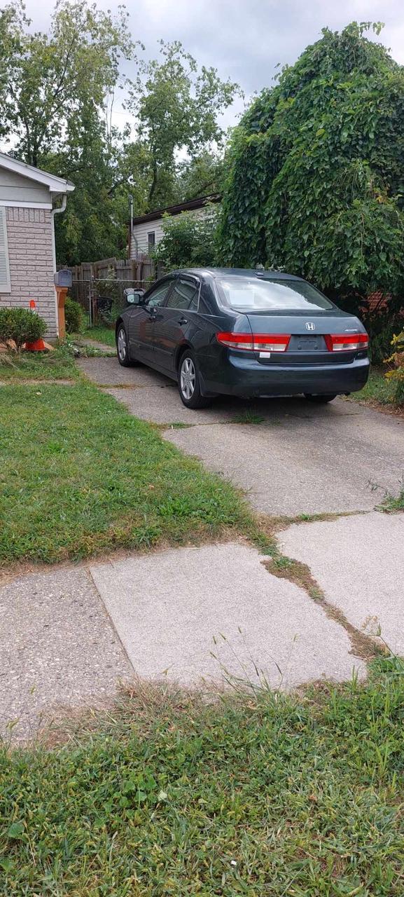 Profile photo 2 of 11